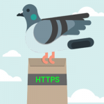 HTTPS چیست؟ یادگیری با HTTPS به روش کبوتر نامه‌بر
