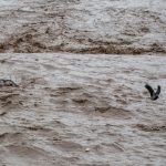 بارش‌های رگباری و خسارت بار در راه خراسان جنوبی